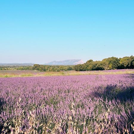 Maison Francoise Bed and Breakfast Aix-en-Provence Buitenkant foto