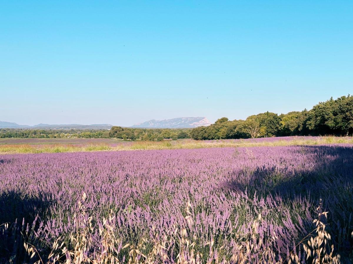 Maison Francoise Bed and Breakfast Aix-en-Provence Buitenkant foto