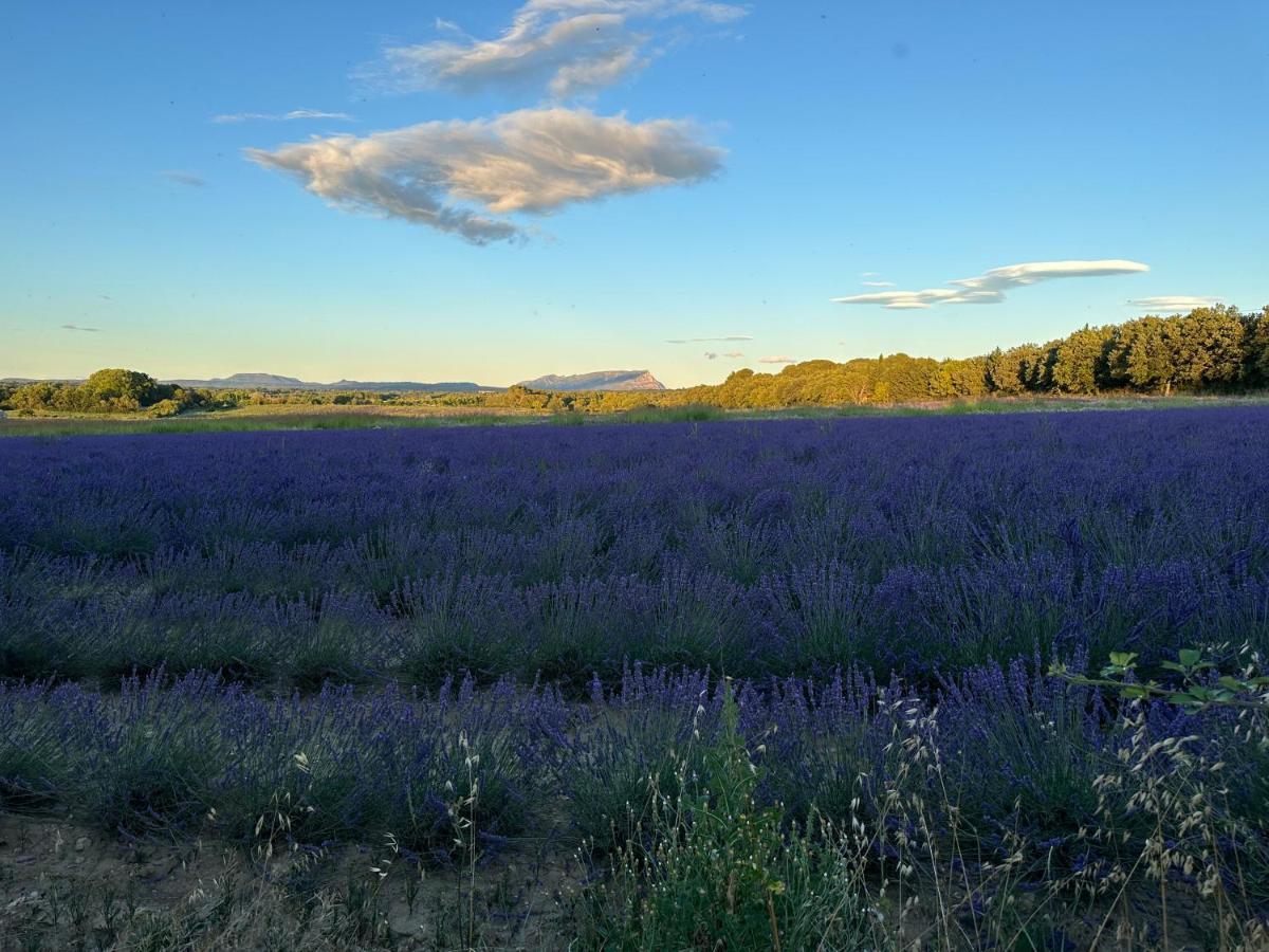 Maison Francoise Bed and Breakfast Aix-en-Provence Buitenkant foto