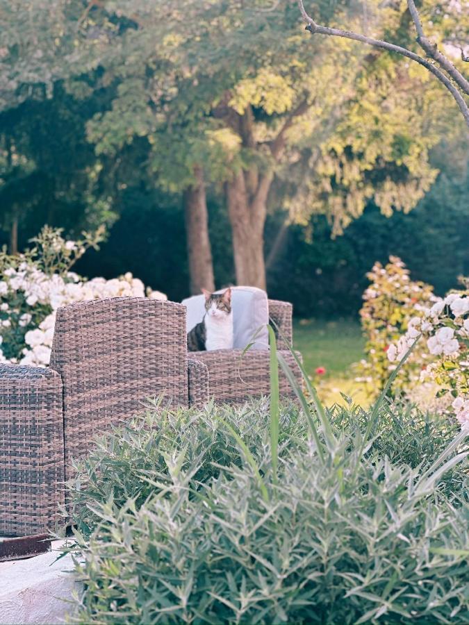 Maison Francoise Bed and Breakfast Aix-en-Provence Buitenkant foto